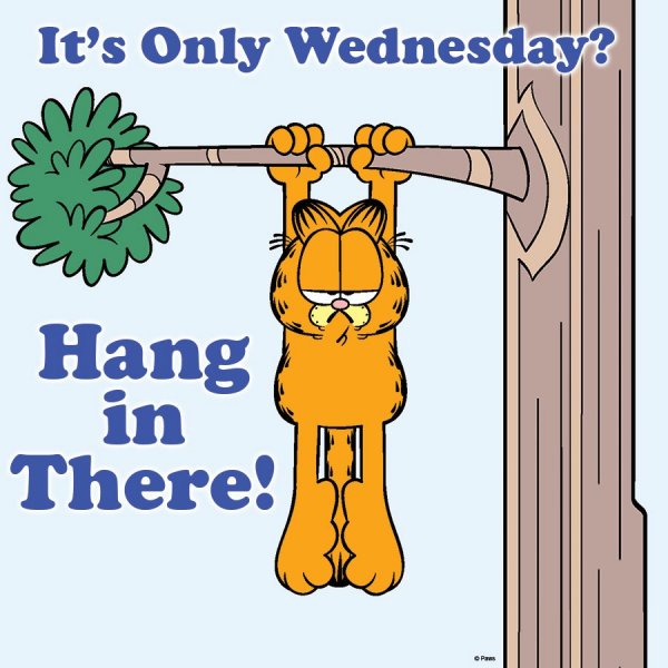 Hang in there poster