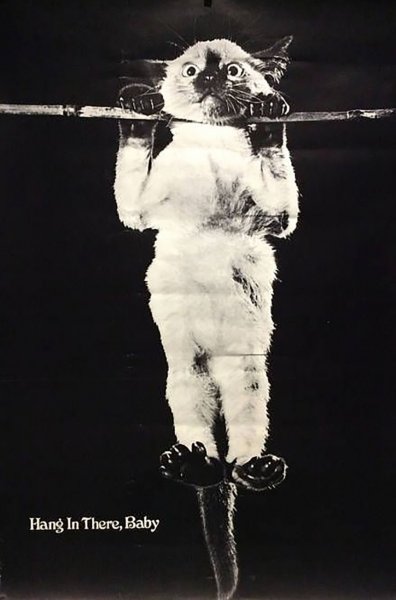 Hang in there плакат