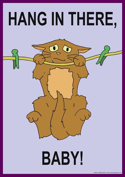 Плакат с котиком держись