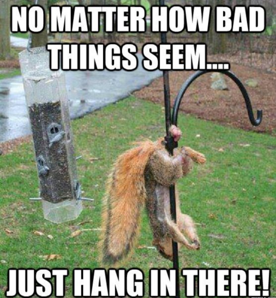 Hang it there
