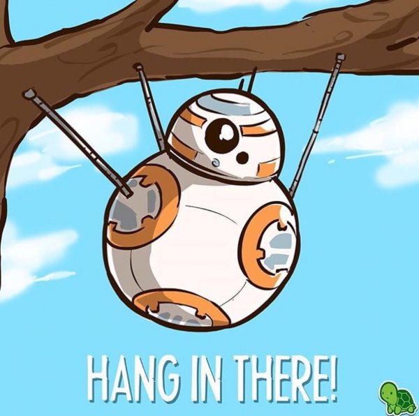 Hang in there