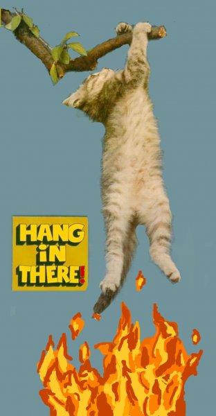 Постер с котенком держись