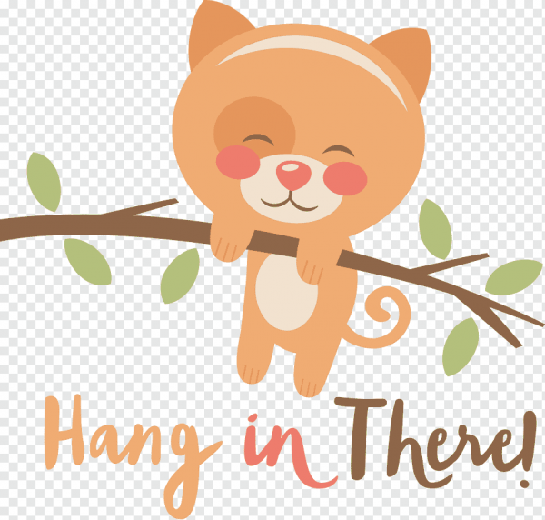 Hang in there Cat