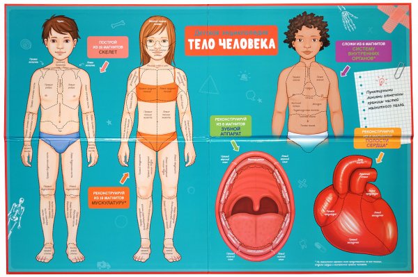 Анатомия для детей