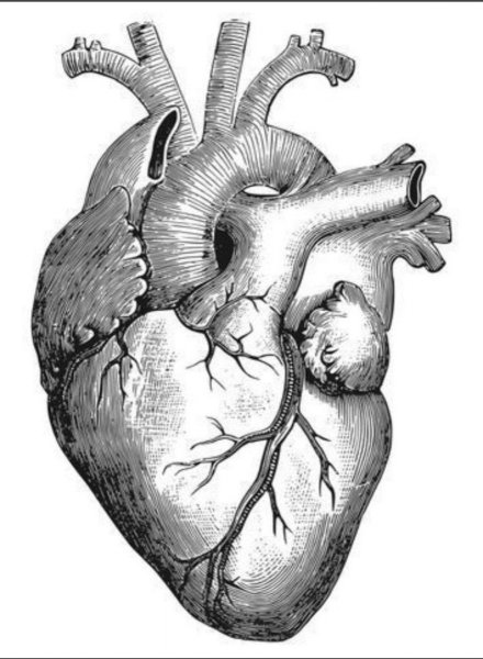 Плакаты для вдохновения