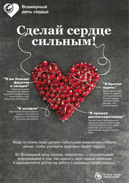 Сердце анатомия плакат