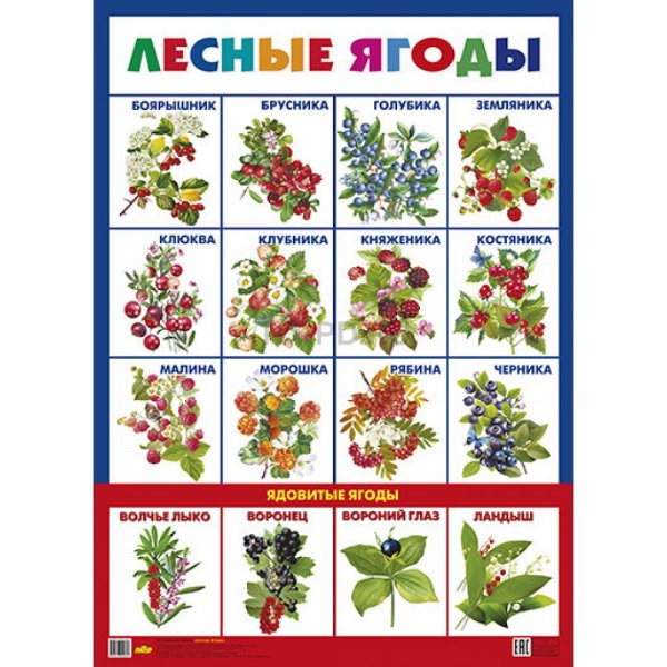 Садовые ягоды для детей