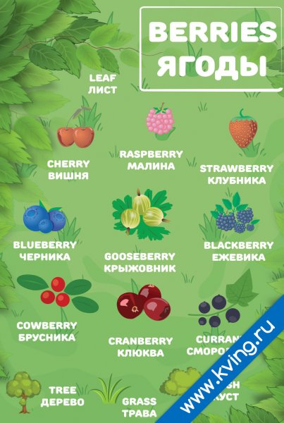 Плакат "ягоды"