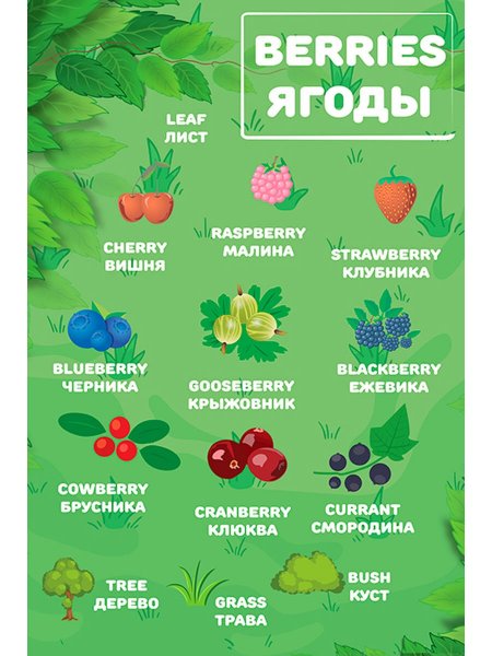 Плакат "ягоды"