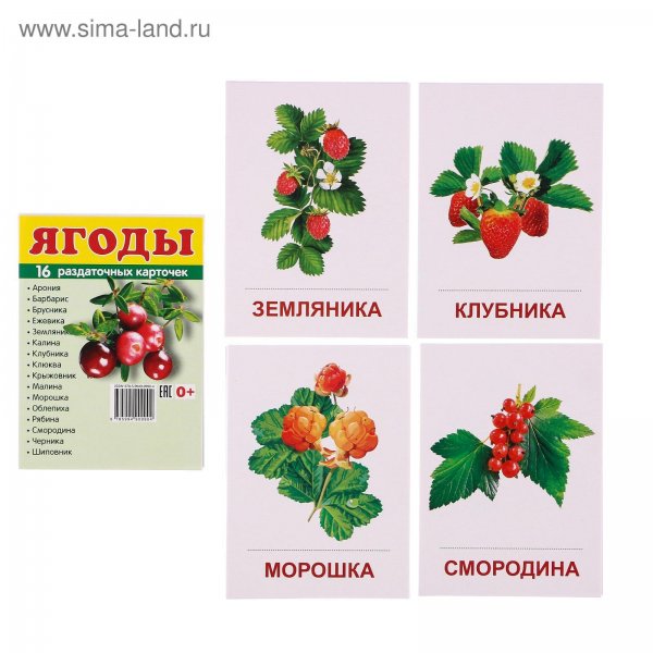 Демонстрационные карточки фрукты