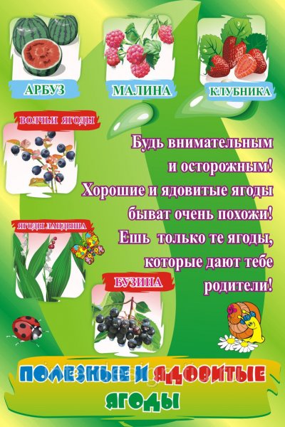 Ягоды плакат для детей