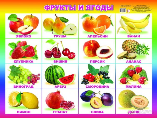 Фрукты плакат для детей
