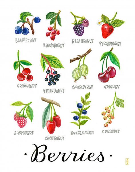 Овощи. Плакат