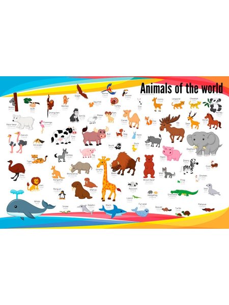 Плакат "ягоды"