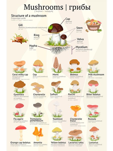 Разница между present perfect и present perfect Continuous