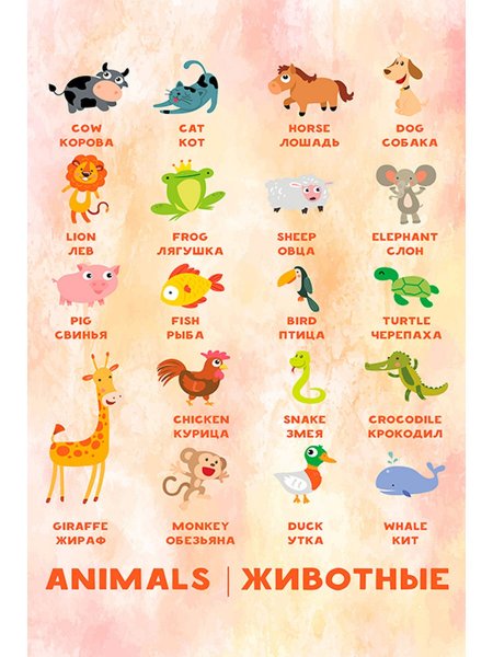 Кровеносная система человека