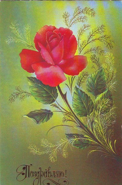 Цветочки для открытки