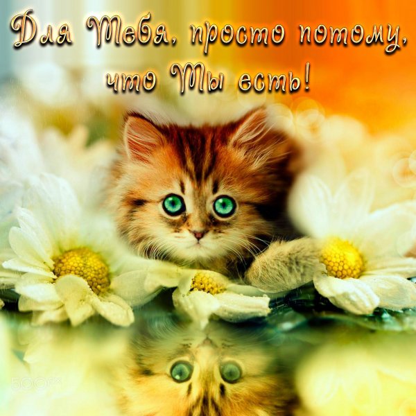 Добрые пожелания на каждый день