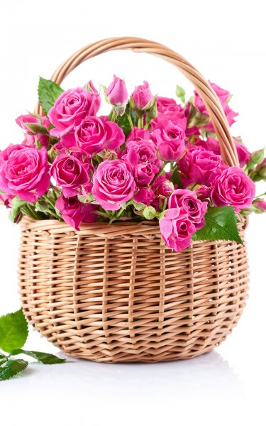 Красивые открытки с днем РО