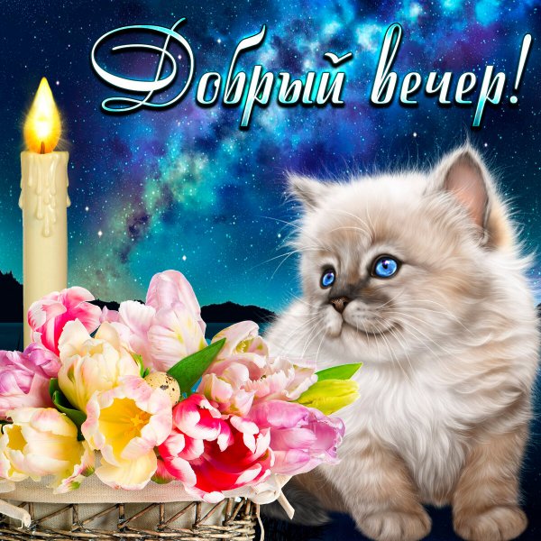 Откры тка с добра вечером