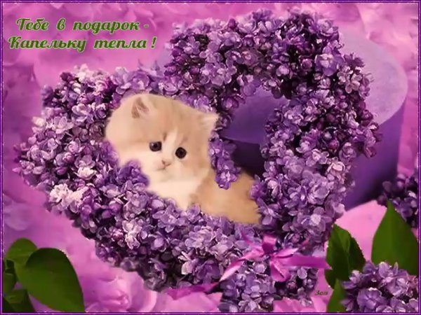 Открытки красивые разные темы