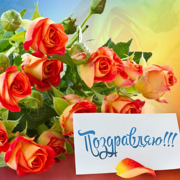Открытки поздравления