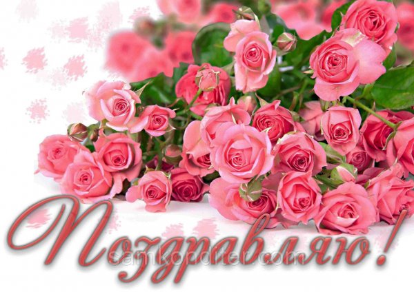 Открытка Мои поздравления