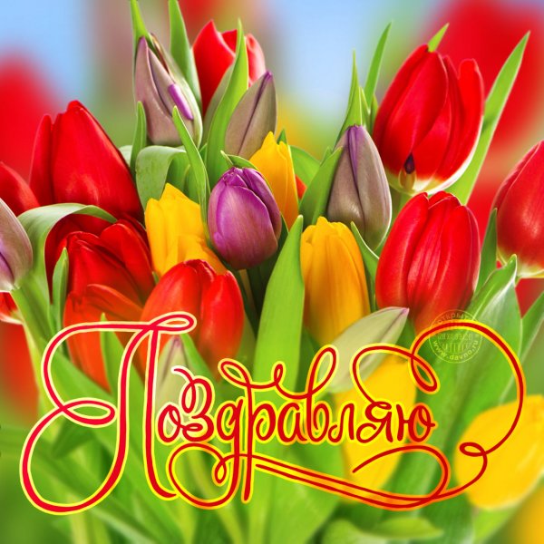 С днём рождения тьльпаны