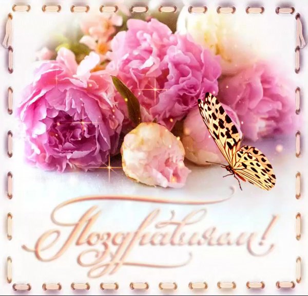 Гиф поздравления