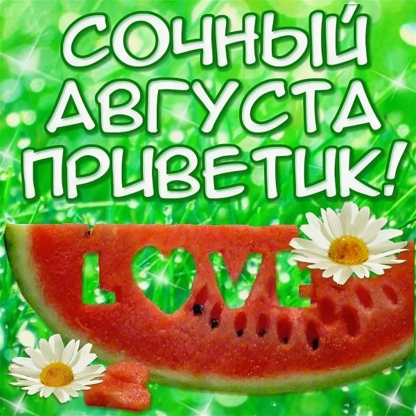 Августовский приветик