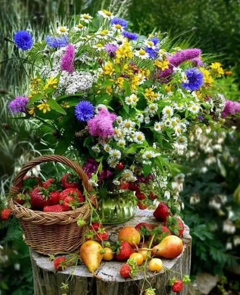 Летние цветы