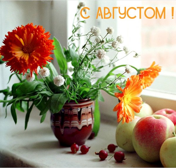 Августовское утро цветы