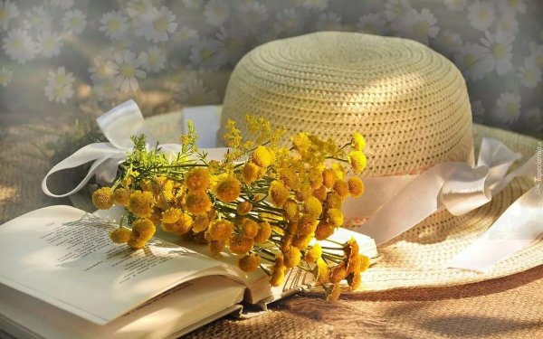 Шляпка книга цветы