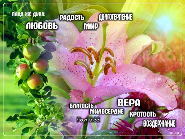 Цветы с христианскими надписями