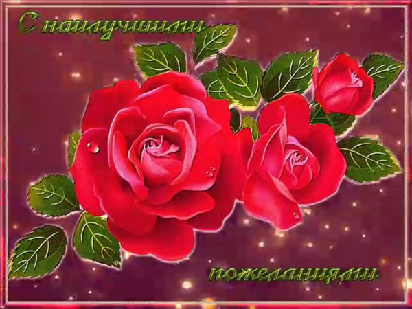 Открытки с наилучшими пожеланиями