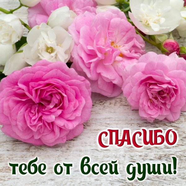 Открытки с благодарностью спасибо