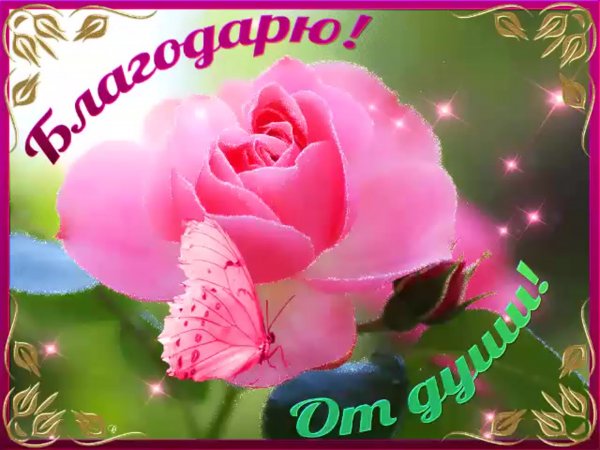 Благодарю от всей души