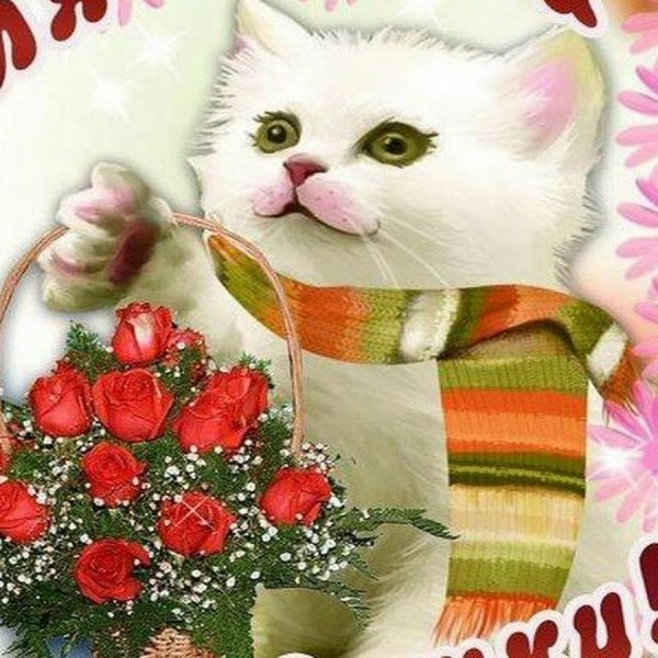 Открытка самой красивой девушке