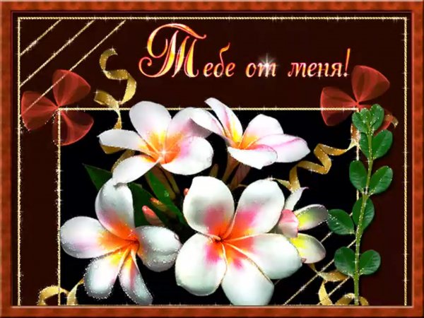 Открытка для тебя