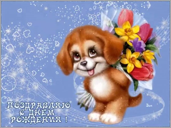 Живые открытки с днем рождения