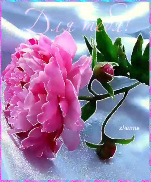 Цветочек для тебя