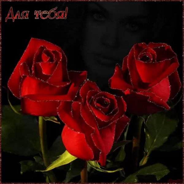 Живые цветы любимой