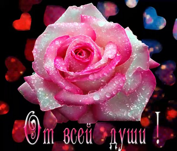 Анимированные открытки