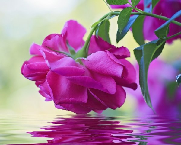 Открытки для друзей с пожеланиями