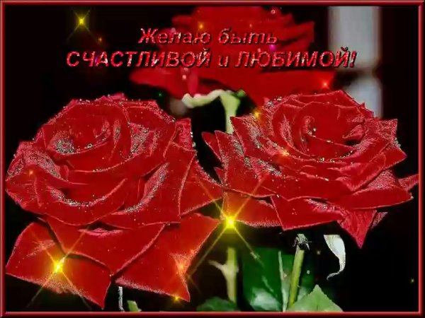 Живые поздравительные открытки