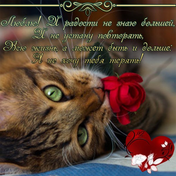 Открытки любимому
