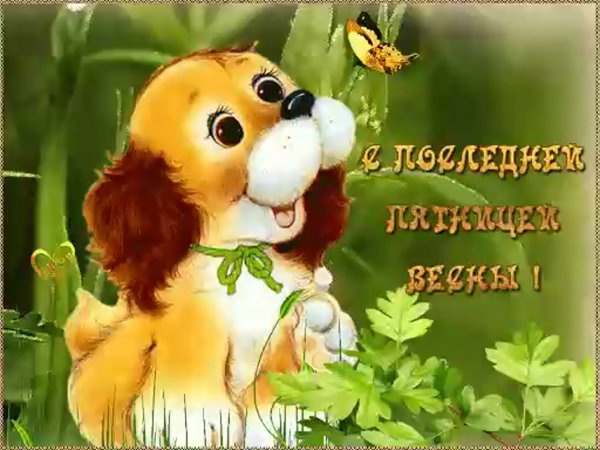 Красивые открытки приветик