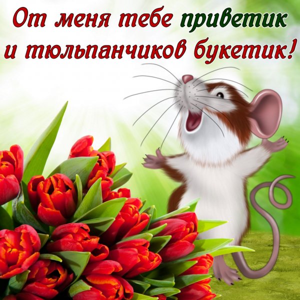 Привет открытки красивые