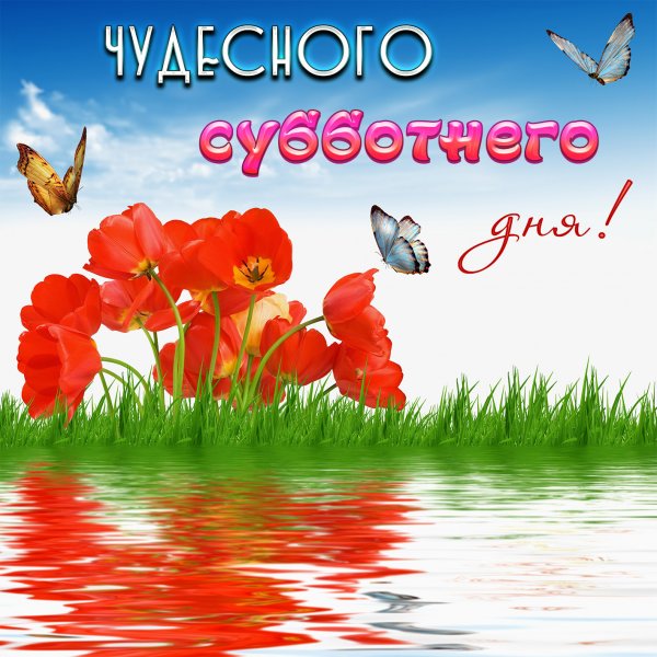 Хорошей субботы и отличного настроения