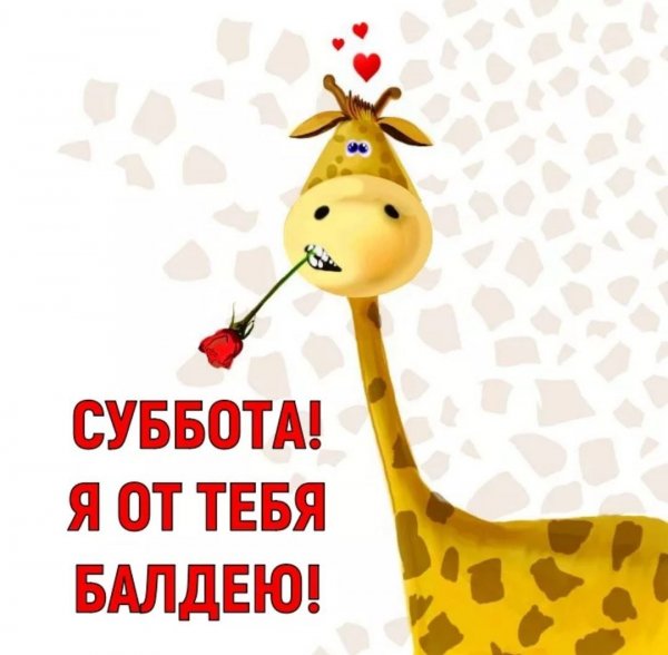 Открытки с субботой прикольные